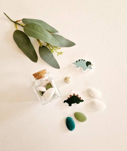 Dragées pour la naissance d'un garçon