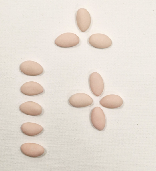 Boite 1kg Philomène - Avola