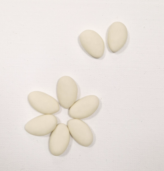 Boite 1kg Philomène - Avola