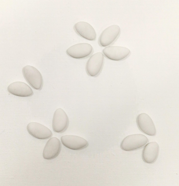 Boite de 500g Philomène - Avola