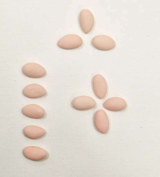 Boite de 500g Philomène - Avola